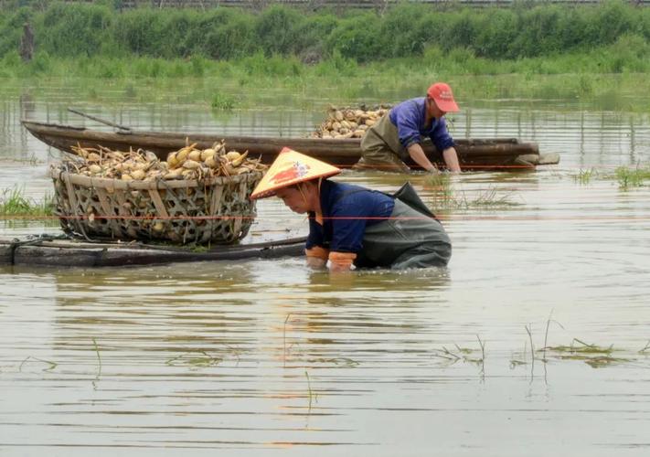 巢湖市槐林镇朝阳渔业公司,渔网丝生产线工人们正在进行渔网拉丝